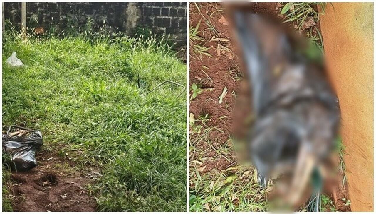 Imagem de compartilhamento para o artigo Jovem é presa suspeita de maus-tratos após morte de cadela em São Gabriel do Oeste da MS Todo dia